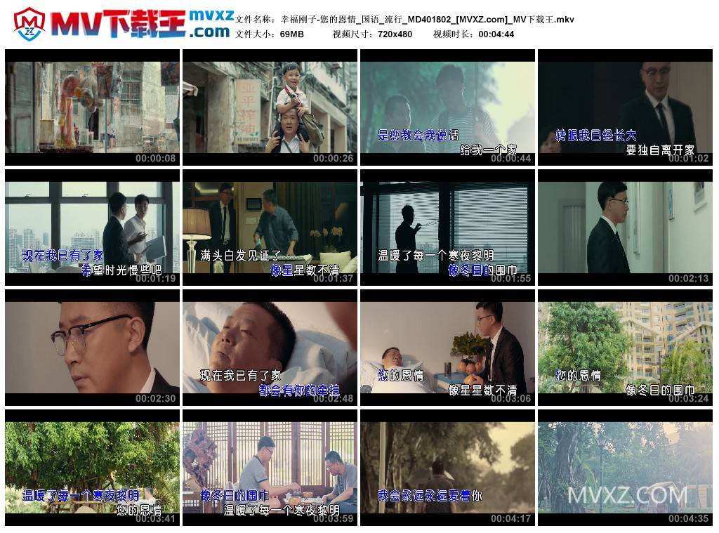 幸福刚子-您的恩情_国语_流行_MD401802